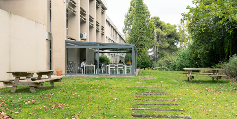 Fotografia dos jardins da ENSP NOVA.