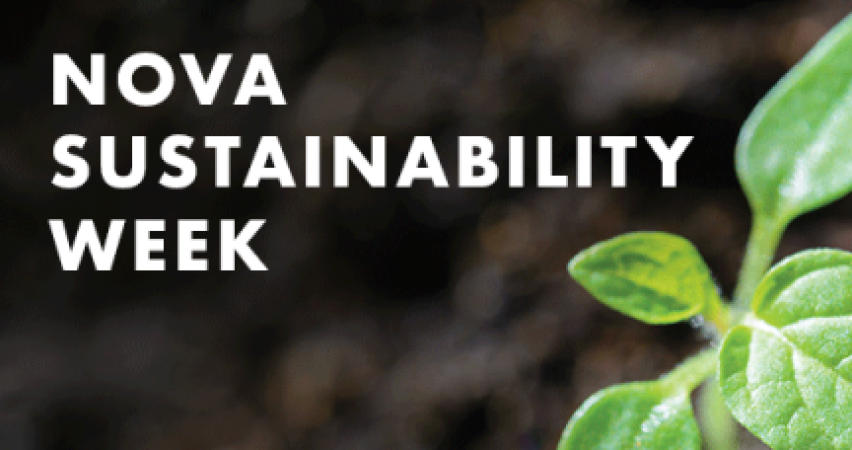 nova-sustainable-week-e1655457938220
